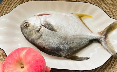 金鯧魚(yú)為何要少吃？金鯧魚(yú)不能多吃的原因