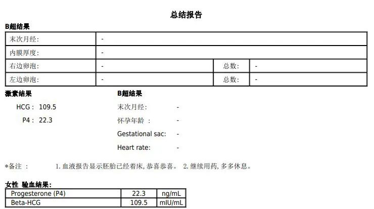 總結(jié)報告