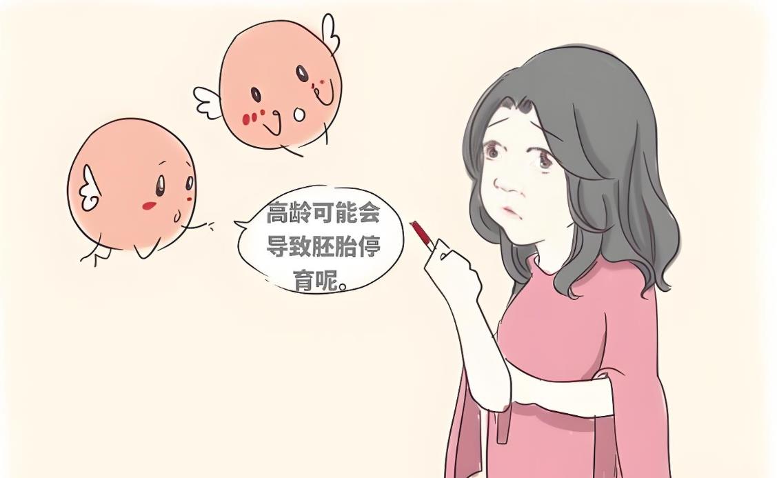 高齡試管